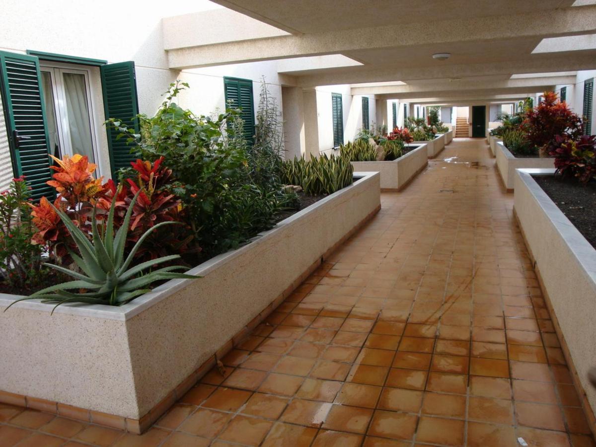 Apartamento Apartamento Con Jardin Y Piscina En El Balancon El Médano Exterior foto